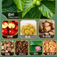 Peking Tongrentang Grüne Qian Liu Maulbeerblatt Tee Tee Mais Rasur Maulbeerblatt Tee Mais Rave Tee Grüne Qian Liu Tee mit Löwenzahn Tee Burdock Wurzel Tee Orange Gartengart