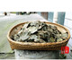 Yourrentang Green Money Willow Tea Centennial Tree Green Money Willow Health Tea Makes The Leaf Tea Gold Money Willow 170g