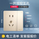 Delixi Switch Socket Panel CD821 -Serie Champagner Gold versteckte Sockel zwei und drei Stecker Wandnetzteil Rahmenfreies großes Board, eine offene, doppelte Steuerung fünf Löcher