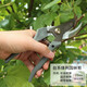 Japanese Fukuoka tools garden pruners, fruit tree scissors, pruning shears, branch shears, gardening tools, powerful pruning shears 200mm FO-4308A