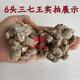
Leixiangzhuang Sanqi, Yunnan Wenshan, 37, No cutters in the head, Tianqi, 8 years old, 6 heads with cutters, medicine effect king [500g]