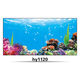 Fischtank Hintergrund Aufkleber Fischtank Hintergrund Aufkleber Ozean Unterwasser Weltfront mit Kleber Red Dragon Fisch Blau HD Langable wasserdichte Fanbaiku Hy1105 80 cm lang x 60 cm hoher positiver Kleber