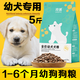 General purpose Labrador puppy dog food for 0-6 months, small, medium and large dogs, Golden Retriever Teddy Bichon Nutritional Double Combo, special beef flavor pure food for 1-6 months, 1500g (3Jin Jin is equal to 0.5kg)