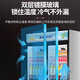 Bingxiong Displayschrank gekühltes Frischlagerschrank kommerzielle Gefrierschrankwein Direkter kaltes vertikaler Supermarkt Convenience Store Bar Biergetränkschrank Displanschrank 338 Eingangstür Displayschrank/Energieeinsparung und niedriger Verbrauch 540*530*1695