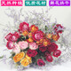 Love Yunnan Natural Rose Dried Flower Bouquet Living Room Decoration Lucky Rose Dried Flower Real Flower Decorative Ornaments Air-dried and Roasted Romantic Bubbles About 30 Heads