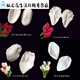 Junmo Rose Tulpe Blume Fondant Silikonform Pflaumen Blütenblätter Blattform Zuckerblume Doppelstück Clip Form dreidimensionales Modell 826 Pfingstrose großes Blütenblatt a