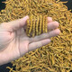 Xueyuantang cordyceps sinensis целый насекомые сломанная трава Аутентичные Cordyceps Выбранные тонические продукты Плато Cordyceps Целые насекомого китайское лекарственное тонизированное продукты около 0,3 г/корень (целая сломанная трава насекомых)
