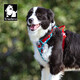 TRUELOVE dog harness pet pull rope vest type traction dog walking belt explosion-proof and anti-breakaway blue and red size M
