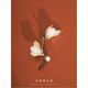 QUAMERA magnolia brooch, high-end female corsage brooch, autumn and winter design, niche luxury magnolia brooch