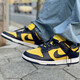 耐克（NIKE）新款男女鞋Dunk Low 运动休闲低帮滑板鞋DH7913-001 DD1391-700 密歇根 蓝黄 36