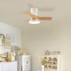 Weather Vane Moderne einfache Kinderzimmerlüfter Leichtschlafzimmer Deckenventilator Leuchtfrequenzwandler Elektrischer Lüfter Kronleuchter stiller Haushalt Integrierter Lichtventilator Frequenzwandler 32-679a Schwarz Decken-tiefe Holzkorn Lichtwechsel Wechselferner sich
