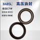 Huilide custom high temperature resistant and high pressure resistant frame oil seal BABSLTBVTCV oil seal oil pump motor 12247