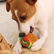 GiGwi dog toys, sound-producing, plush, bite-resistant, fun-shaped educational toys, dog toys, pet toys