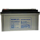 RIS-Blei-Säure-Akku 12V DJM1238S ~ DJM12200S Computer Room Ups EPS Netzteil Energiespeicher Batterie DJM12150S (12 V)
