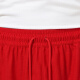 耐克（NIKE）  男装 篮球 针织短裤 SHORT CZ4772-687 CZ4772-687/秋季  L (175/80A)