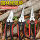 Flowers and scissors, sparse flowers, fruits and scissors, floral scissors, household flowering scissors, pruning scissors, gardening scissors, grapes, round style #T9853