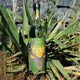 Yoowe [original bottle imported] Mexican Bacanola Tequila Soto Tequila Youweipa Mirasoto Tequila 750mL 1 bottle