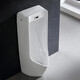 Renjuyi urinal 81987 induction integrated floor-standing USWN870RBE AC