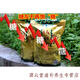 Yourrentang Green Money Willow Tea Centennial Tree Green Money Willow Health Tea Makes The Leaf Tea Gold Money Willow 170g