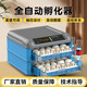 Incubator egg incubator household small fully automatic rutin chicken egg incubator chicken duck goose incubator smart incubator 128 pieces automatic water replenishment pull-out single power supply