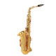 Calhofna Allemagne Calhofna Performance Professional Grading Examining saxophone Vent Instruments pour les débutants E-plate électroménérat