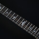 PRS E-Gitarre SE Custom Cu44 24-Grad-Rock-Aufführung kann Single-Gürtel Shaker kleiner Doppel Shake E-Gitarre Se-Custom-C844ev-Green geschnitten werden