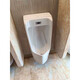 Renjuyi urinal 81987 induction integrated floor-standing USWN870RBE AC