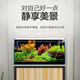 SOBO鱼缸过滤器过滤桶前外置过滤设备水族箱过滤系统水草缸外置过滤桶 SF-650F +【 专业豪华套餐 】