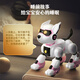 JJR / C Éducation précoce pour enfants Machine de contrôle de la voix intelligente Toy garçon de 1-3 ans bébé 4-6-8 ans