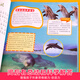
Marine Biology World Encyclopedia Color Picture Phonetic Edition Children's Books and Books Over 689 Years Old Picture Books Story Books for Grade 1 and 2 Primary School Students Fun Popular Science Encyclopedia Complete Set of Extracurricular Books with Pinyin Children's Encyclopedia - Animal World (Audio Companion Reading Colors