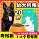 German Shepherd Puppy Dog Food 20 Jin Jin equals 0.5 kg Black East German universal golden retriever Teddy Labrador large dog 3 Jin Jin equals 0.5 kg 5kg Beef flavor pure food 20 Jin Jin equals 0.5 kg (for 1-6 months only)