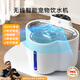 HIPIDOG NOUVEAU CAT DISTRANSE DE L'EAU CONTUNÉE TEMPÉRATION CHAUT MACHINE CAT AUTRE ANTÉRIEUR PET AUTOMATIQUE AUTOMATIQUE DISTRONNEMENT D'EAU DISTRANS
