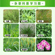 Great Harvest, Fengchuanghui, Select Glufosinate-ammonium Herbicide Pesticide, Killing Grass, Glufosinate-ammonium Phosphate, Orchard Weeding and Weeding Pesticide 5kg