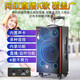 MALONE Outdoor Heavy Bass Internet Celebrity Live Broadcast Karaoke Mobile Trolley Square Dance Speaker High Power Portable Wireless Bluetooth Speaker M100 10-inch Lithium Battery + 2 Microphones + Gift