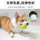 EETOYS Green Tennis Dog Toy Sound Interactive Washable Teeth Cleaning Ball Pet Supplies