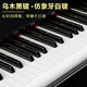 Xinghai Bachdorf piano piano imported from Germany new 88 key vertical piano BU-118