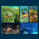 
Mimingle remote control submarine + camera Underwater drone Remote control of your submarine Manta ray visual speedboat Manta ray camera boat Mobile phone operation camera High-end: data cable + 5V charging head