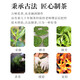 
Zhengshanding Oolong Tea Classic Phoenix Single Pine Song Crop Special Grade 500g Foot Fire Paper Pack Tea Aura Full of Strong Scent Tea Leaves