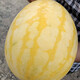 Shouhe yellow-skinned and red-flesh watermelon seeds for all seasons Jinlinglong yellow-skinned watermelon seeds 10 capsules 5 early maturing