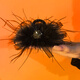 Pretty three-year-old high-end feather clip women 2025 new autumn and winter back hair hair clip shark clip clip headdress golden rhinestone [feather clip]