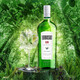 Acavilas Original importiert fremdweinbasis Cocktail -Set Long Island -Eis Tee Tequila Gin Rum Wodka Weiß Orange Wein Long Island 11 Flaschen Mischset (keine Weinutensilien)