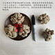 
Leixiangzhuang Sanqi, Yunnan Wenshan, 37, No cutters in the head, Tianqi, 8 years old, 6 heads with cutters, medicine effect king [500g]
