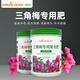 Lupan Bougainvillea special flower-stimulating fertilizer nitrogen, phosphorus and potassium ternary compound fertilizer for household potted flowers to bloom quickly