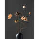 Bouquet von echten Blumen Ornamente von lotus luftgetrockneten Lotusschoten natürliche Lotuswurzel Zen Blume Arrangement Chinesisches Wohnzimmer Dekoration getrocknete Blume Kombination 5009 getrockneter Blütenbeutel