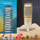 Audio-Technica AT2035 professional condenser microphone, computer live broadcast of karaoke, dubbing, audiobook, voice hall professional recording microphone at2035+Focus solo4+ free 1v1 tuning