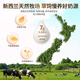 
GLGFAS C-ball Immunoglobulin Capsules Lactoferrous Immunity and Resistance Globulin 90 capsules/bottle [Daily Care][Three Bottles] C-ball Capsules 90 capsules/bottle