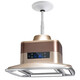 Koreanisch Mahjong Leichtes Schach und Kartenraum Luft Raucherreiniger Fernbedienung Automatisch Heben Kronleuchter Smart Home Reinifikation Leuchte Big Five Lamps_Champagne Gold (mit Display -Bildschirm)