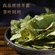 北京同仁堂  肉苁蓉锁阳淫羊藿巴戟天菟丝子组合五宝茶兔丝子巴戟天泡酒药材 【5罐】肉苁蓉+锁阳+淫羊藿+巴戟天+菟丝子【五宝