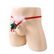 Long Night Men's Stretch Underwear Christmas Feather New European and American Men's Sexy Underwear Thong Green