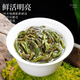 音朗茶叶 乌龙茶凤凰单枞 2025新茶浓香潮州单丛茶鸭屎香传统纸包125g